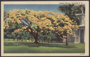 Golden Shower,Honolulu,HI Postcard