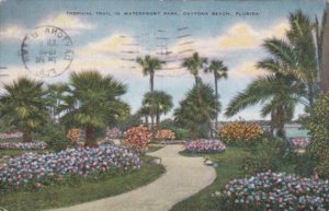 Florida Daytona Beach Tropical Trail In Waterfront Park 1946