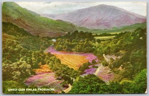 Vtg Scotland Lovely Glen Finlas Trossachs 1950s Scenic View Postcard