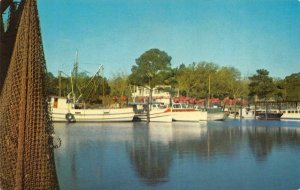 OCEAN SPRINGS, MS Mississippi  INNER HARBOR~Small Boats  JACKSON COUNTY Postcard