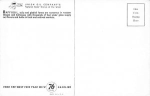 Daffodil, Tulip, Gladioli Farms Misc , Oregon OR