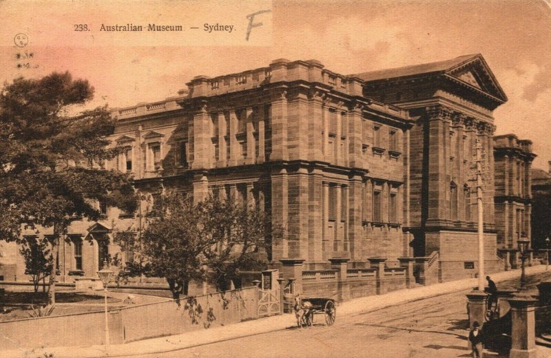 Australia Australian Museum Sydney Vintage Postcard 08.94 