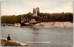 Carrig Castle Wexford Ireland Bouncy Castle First Norman Fortification Postcard