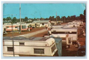 Lone Pine Trailer Court Route 2 Ruskin Florida FL Unposted Vintage Postcard
