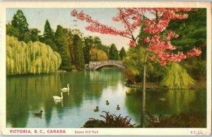 Vintage Postcard Bridge in Beacon Hill Park Victoria BC Canada Posted 1950