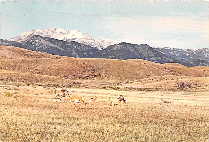 Home on the Range - Rocky Mountains