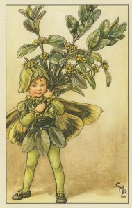 Box Tree Fairy Flower Fairies WW2 1940 Book Illustration Postcard
