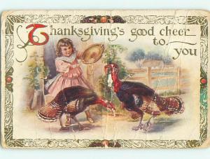 Divided-Back thanksgiving CUTE LITTLE GIRL FEEDS THE TURKEYS v4633