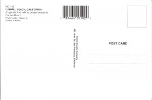 Continental Postcard- Cypress Tree Carmel Beach, California CE3