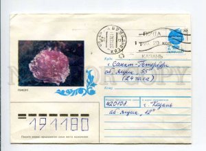 412586 USSR 1992 Golubyatnikova peony flower real posted Provisional stamp Kazan