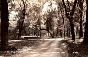 Missouri Stanton Scene In La Jolla Natural Forest 1945 Real Photo