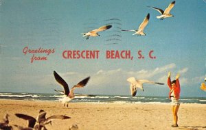 Crescent Beach South Carolina Greetings From child sea gulls vintage pc ZA440843
