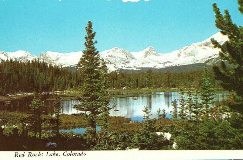 Vintage Postcard Fishing Recreation Area Forest Trees Red Rocks Lake Colorado CO