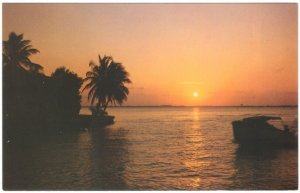 Florida Sunset, Vintage Chrome Postcard #4