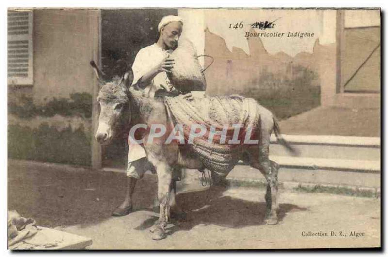 Old Postcard Bourricotier Indigene Algeria Ane