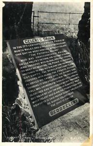 RPPC of the Faithful Hound Gelert's Grave Marker Beddgelert Wales UK