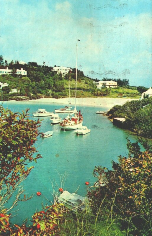 Bermuda The Cove, Tuckers Town, Bermuda Chrome Postcard 04.02