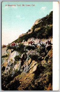 Vtg California CA Horseback On Mountain Trail Mt Lowe Horses 1910s View Postcard