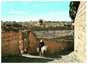 View of Jerusalem w/ Bedouin Man on Mule Postcard 4 x 6