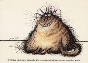 Ronald Searle Space Exploration Laboratory Cat Comic Postcard