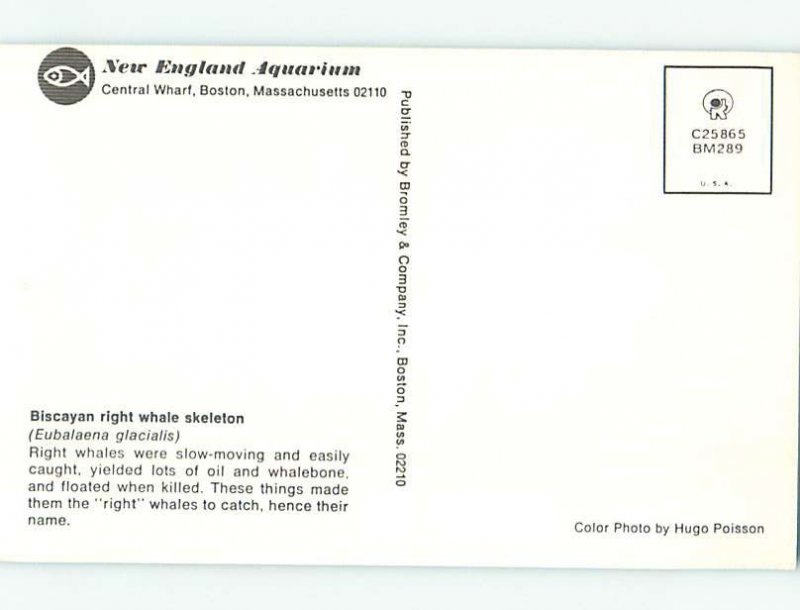 Chrome TOURIST ATTRACTION Boston Massachusetts MA AH4314