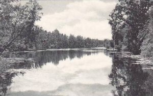 Indiana Jasonville Lake View Shakamak State Park  Albertype