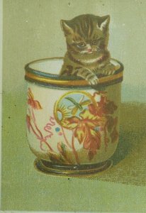 Lovely Kitten Cat Anchor Coffee Boos & Holbrook Toledo, OH Trade Card P3