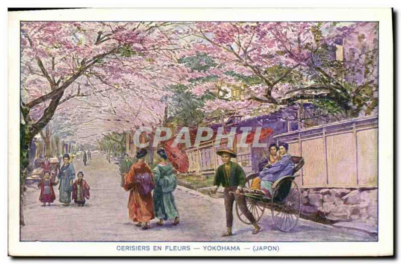 Old Postcard Cherry Flowers Yokohama Japan Nippon