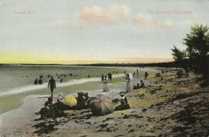 bahamas, NASSAU N.P., Sea Bathing Hog Island (1910s) Postcard