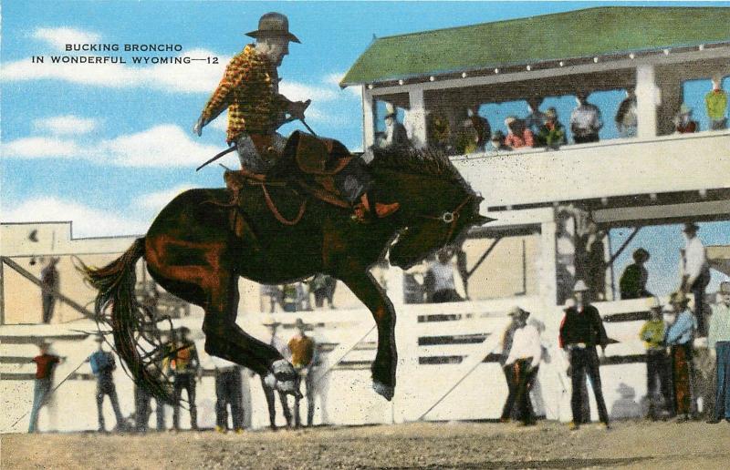 Linen Postcard; Bucking Bronco Wonderful Wyoming Western Rodeo Cowboy Unposted 