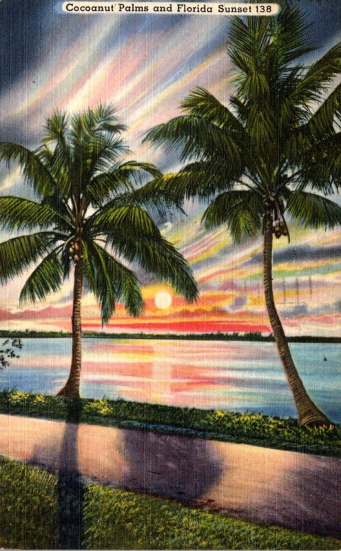 Florida Cocoanut Palms and Beautiful Florida Sunset 1960