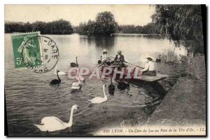 Postcard Old Lyon a corner at Lake Park Tete d'Or