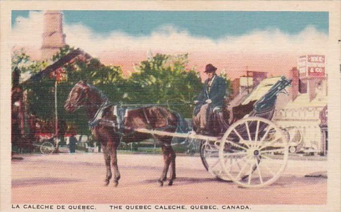 Canada Quebec A Caleche Horse and Carriage 1945