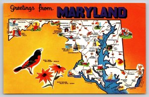 State Maps~Maryland~Capital Annapolis~Chesapeake Bay~Hunting~Vintage Postcard