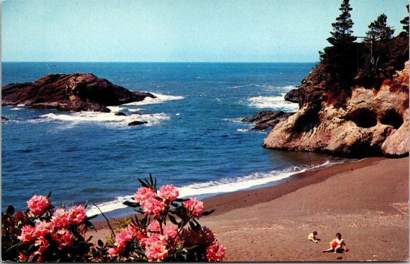 Pacific Ocean Seacoast Oregon Washington Beach Tourists Postcard VTG UNP Koppel 
