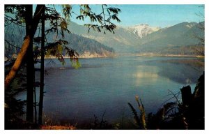 Postcard DAM SCENE Vancouver British Columbia BC AP9842