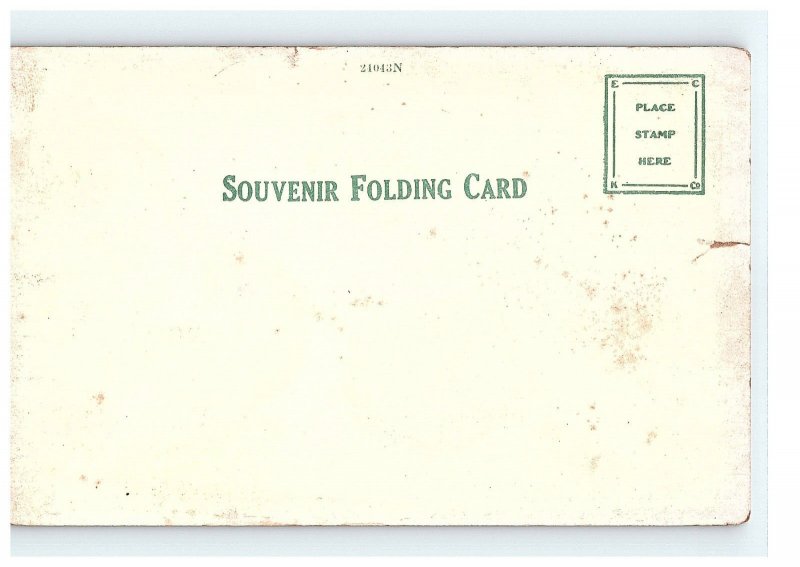 Fancy Dining Room American Flag Waiters Souvenir Folding Card Postcard