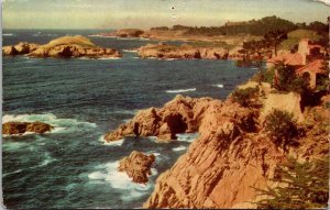 Point Lobos Hwy 1 Carmel California CA Monterey Cypress Postcard UNP VTG Unused 