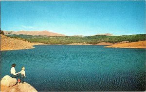 Meadow Lark Lake Hwy 16 Big Horn Mountain WY Vintage Postcard Standard View Card