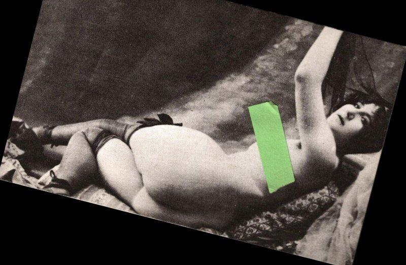 Nude Women Posing Artistic Anatomy Studies Model  Blank Back  Postcard