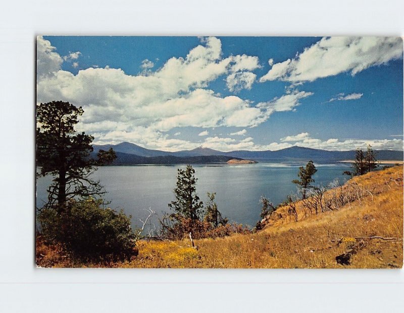 Postcard Upper Klamath Lake Oregon USA