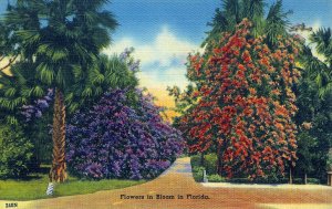 [ Linen ] US Florida - Flowers In Bloom