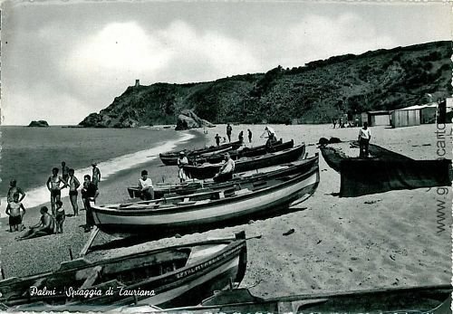 VINTAGE POSTCARD - REGGIO CALABRIA - PALMS-