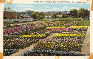 Field's Flower Garden Shenandoah, Iowa