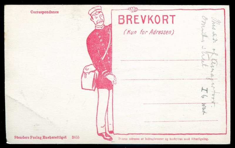 dc1685 - DENMARK Copenhagen Postcard 1910s Vimmelskaftet