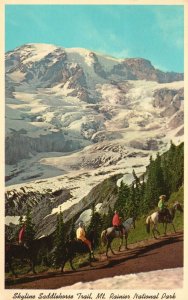 Vintage Postcard Skyline Saddlehorse Trail Mt Rainier National Park Washington