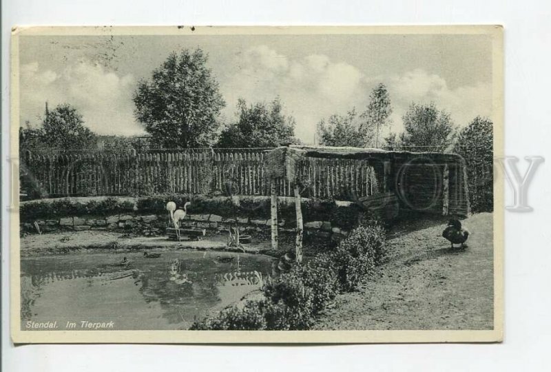 460856 GERMANY Stendal ZOO Vintage postcard