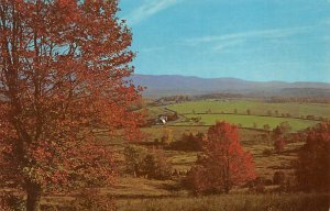 Lovely Canaan Valley - Davis, West Virginia WV  