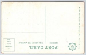 Lemmon SD Man w/Safari Hat & Binoculars on Petrified Rock Formation~Kids Hide PC