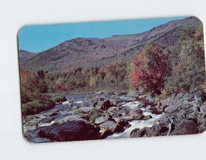 Postcard Trout Paradise, The Ausable River, Adirondacks, New York